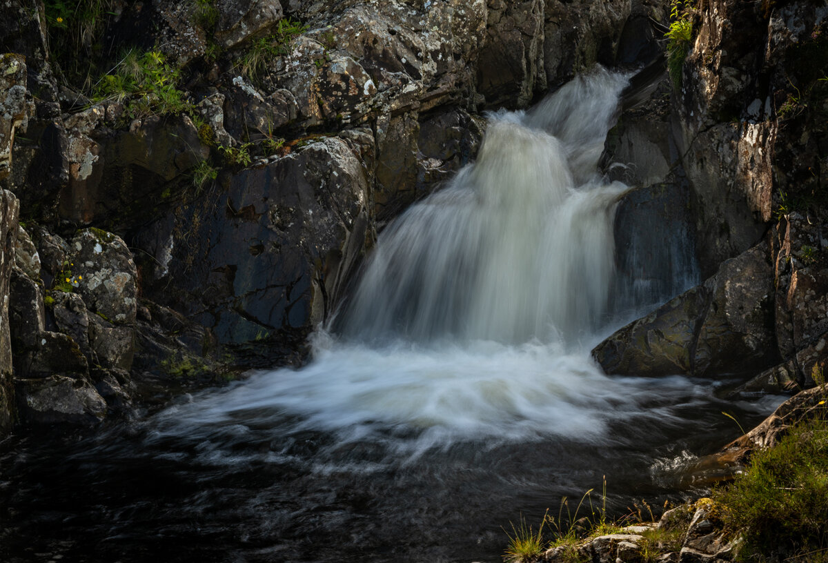 _DSC5503-1 5511 merge copy.jpg