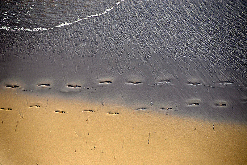 _DSC5569_dsweb.jpg