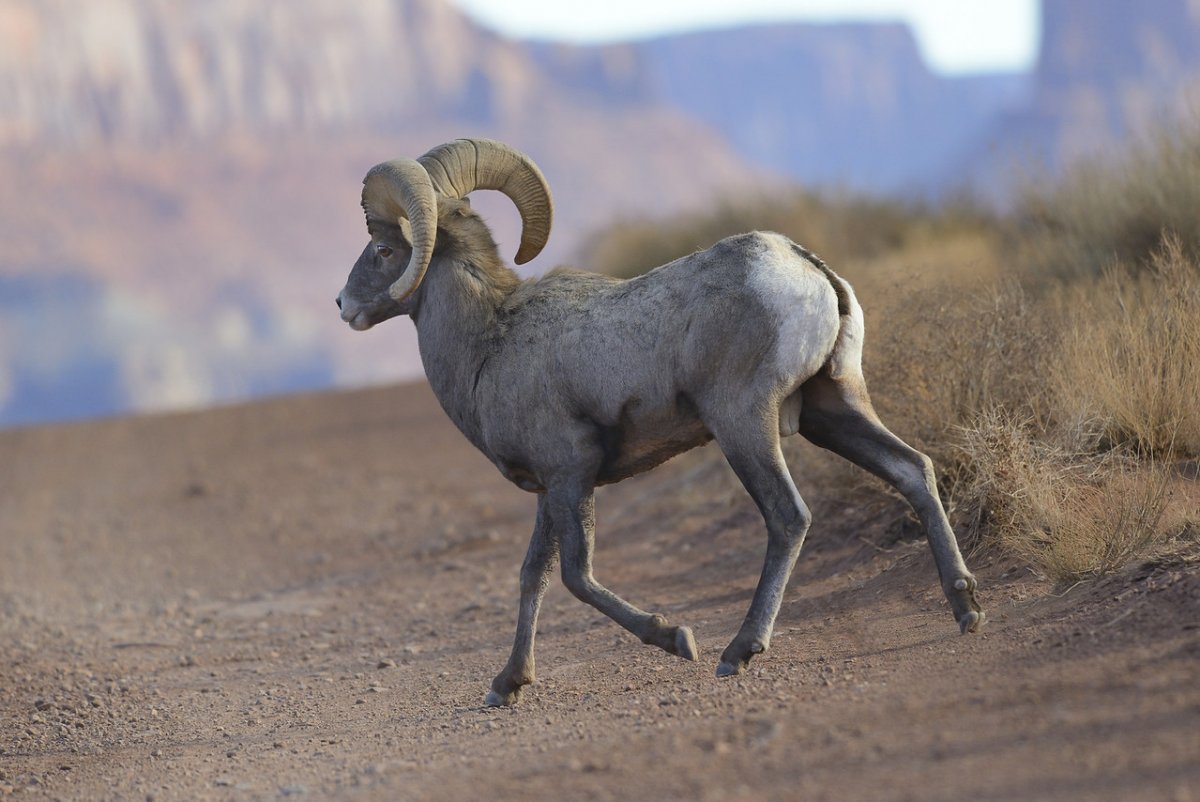 _DSC5650-X2.jpg
