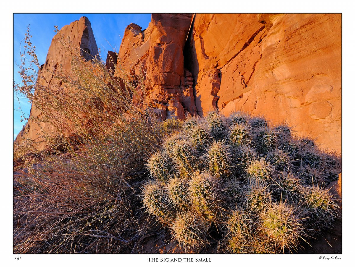 _DSC5742-X2.jpg