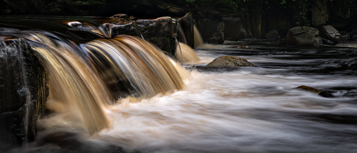 _DSC5832-15833 5834 5837 merge cropped copy.jpg