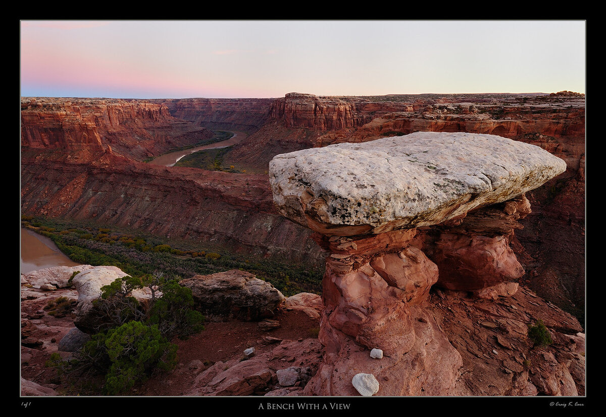 _DSC5879-X2.jpg