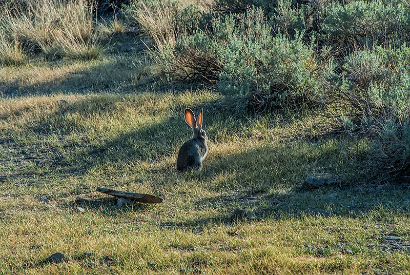 _DSC5901_dw.jpg