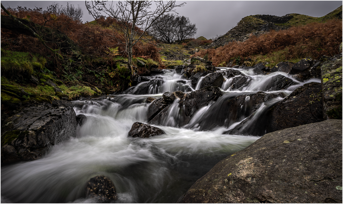 _DSC5906-1.png