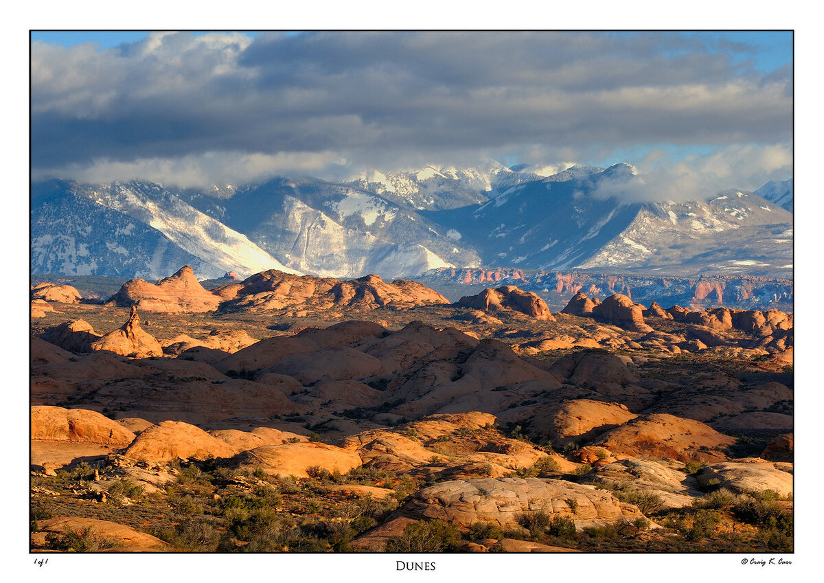 _DSC5917-X2.jpg