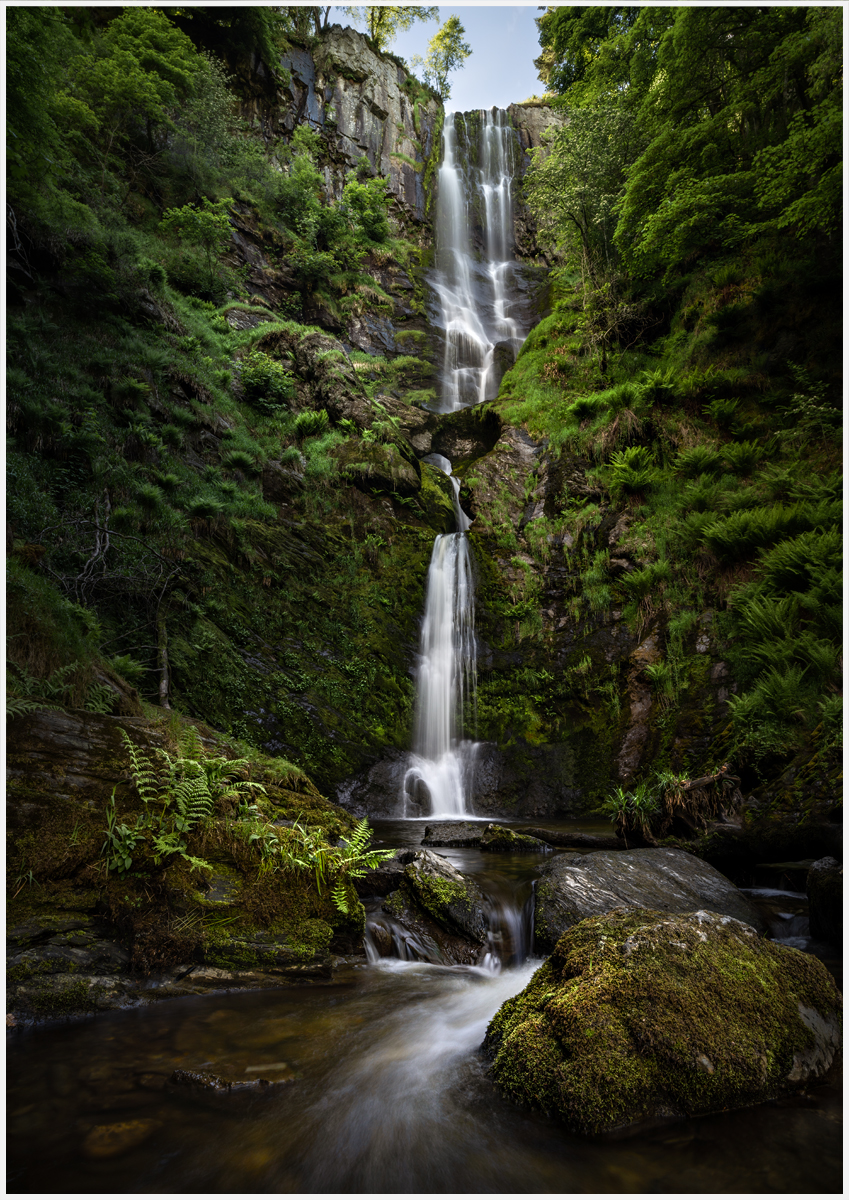 _DSC5963-1 965 968 merge from laptop.jpg