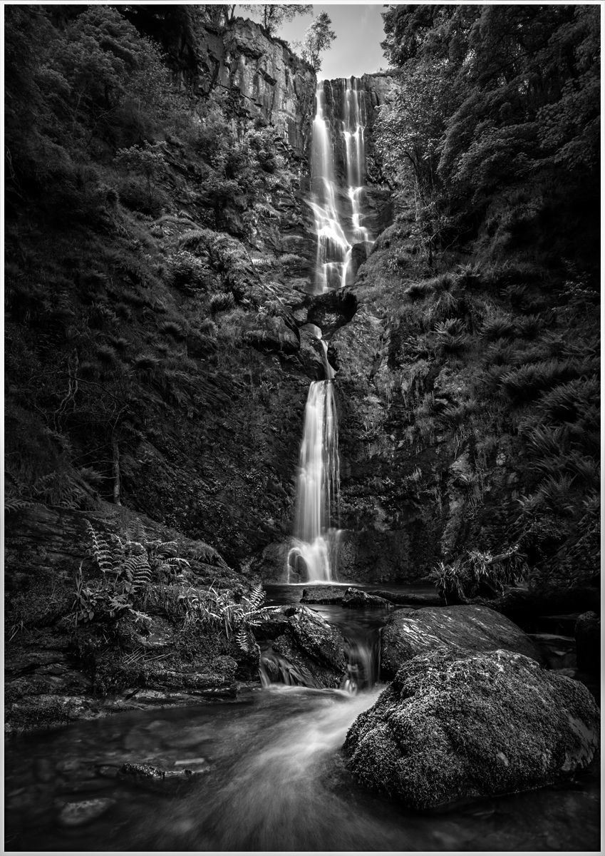 _DSC5963-1 965 968 merge from laptop small size mono.jpg