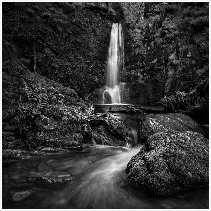 _DSC5963-1 965 968 merge from laptop small size mono sq crop.jpg