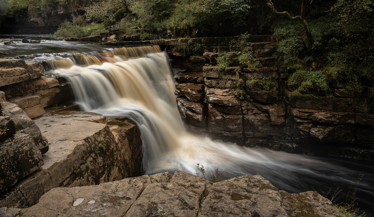_DSC6136-1 copy.jpg