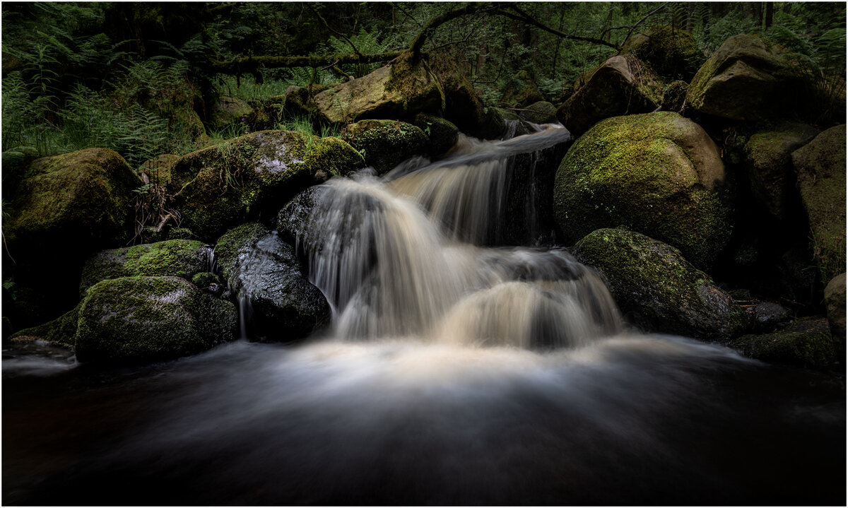 _DSC6141-1 6143 merge.jpg