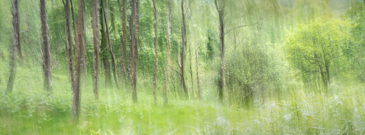 _DSC6172-1 cropped fb.jpg