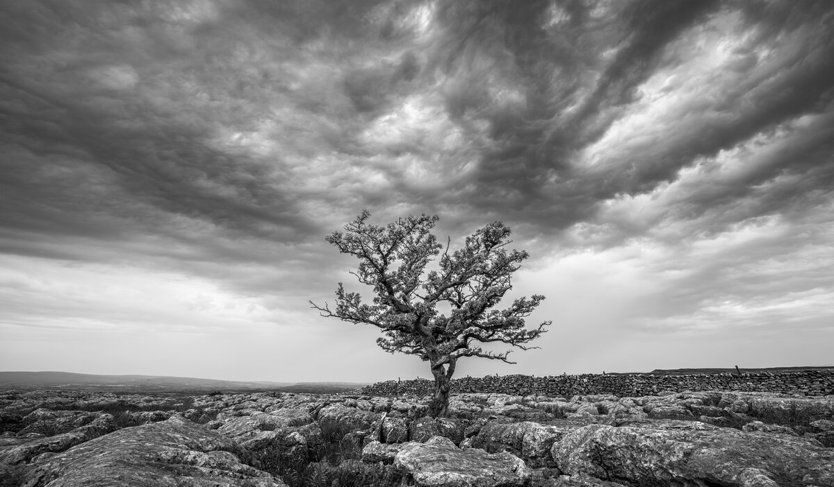 _DSC6255-1 copy.jpg