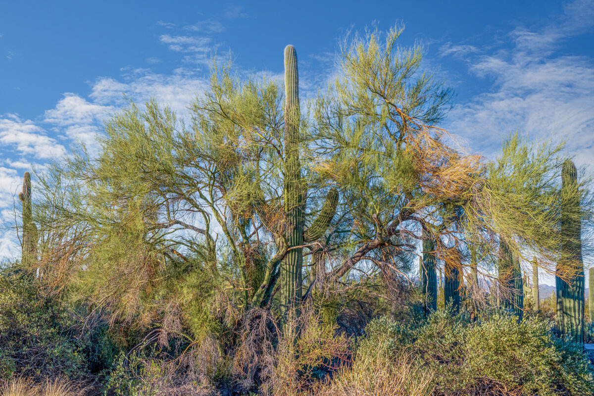 _DSC6298-Pano-Edit.jpg