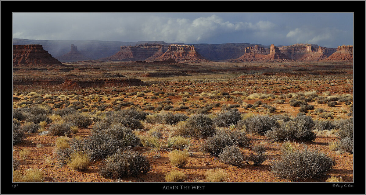 _DSC6349A-X2.jpg