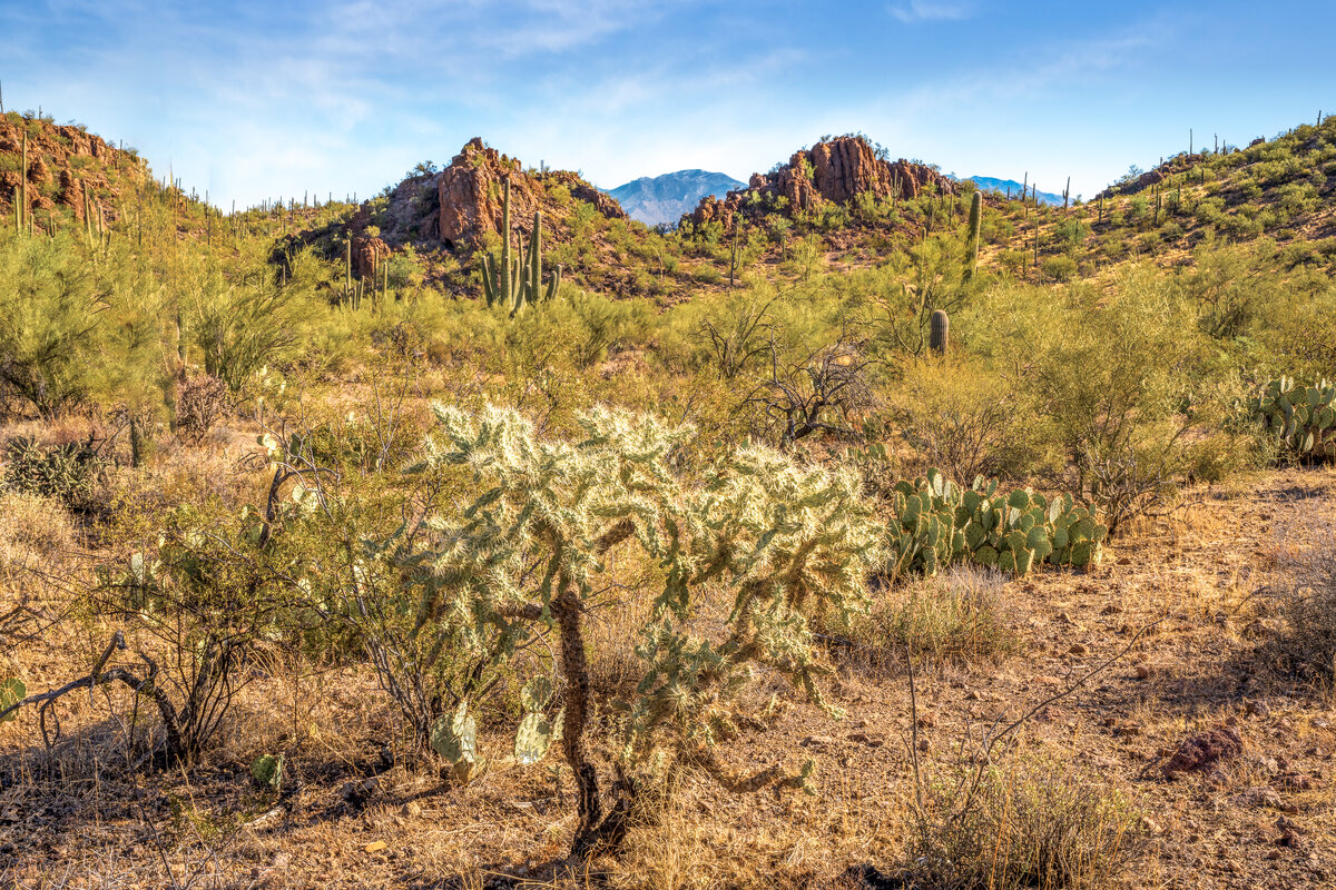 _DSC6405-Pano-Edit.jpg