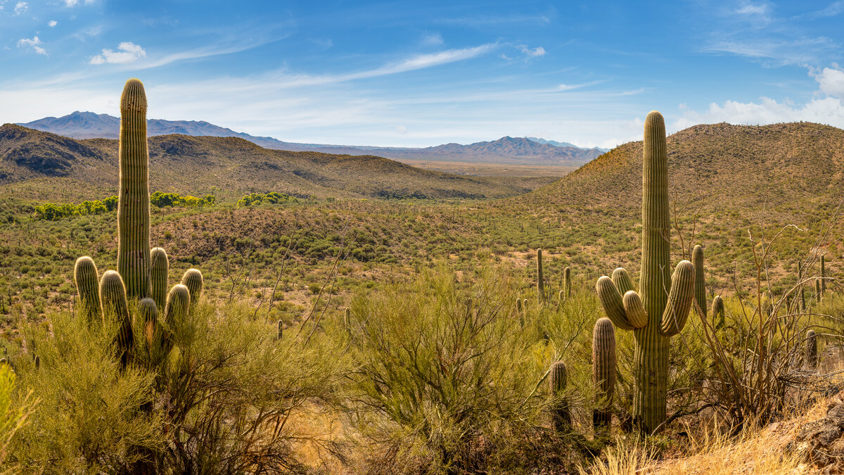 _DSC6431-Pano-Edit.jpg