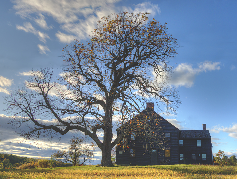 _DSC6506_tree and house 4 focal world.jpg