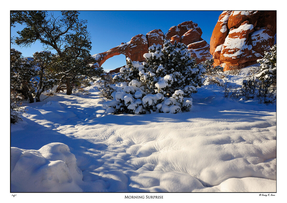 _DSC6510-X2.jpg
