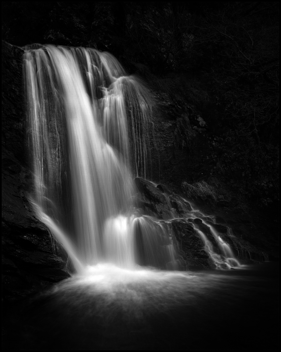_DSC6534-1 1200 high wide white stroke.jpg