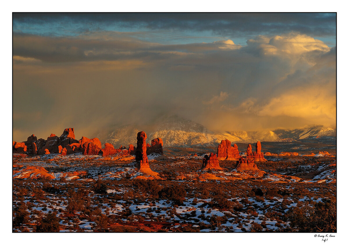 _DSC6847-X2.jpg