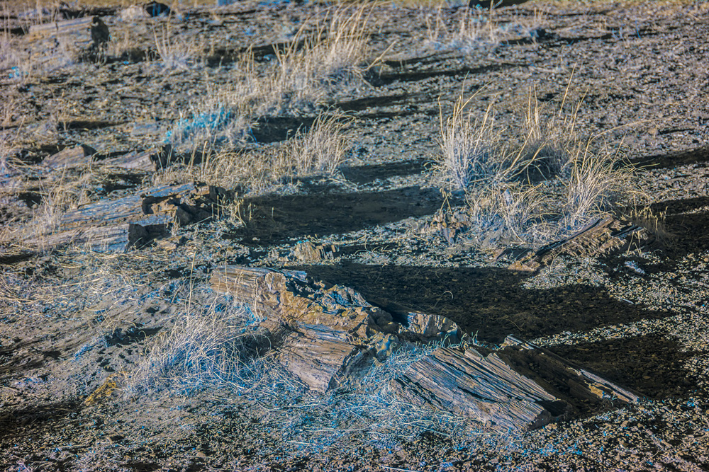 _DSC6926_WBbox_dw.jpg