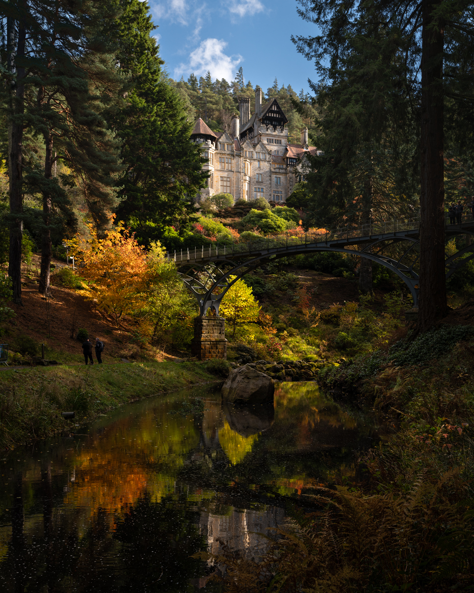 _DSC6936-3 from laptop copy.jpg