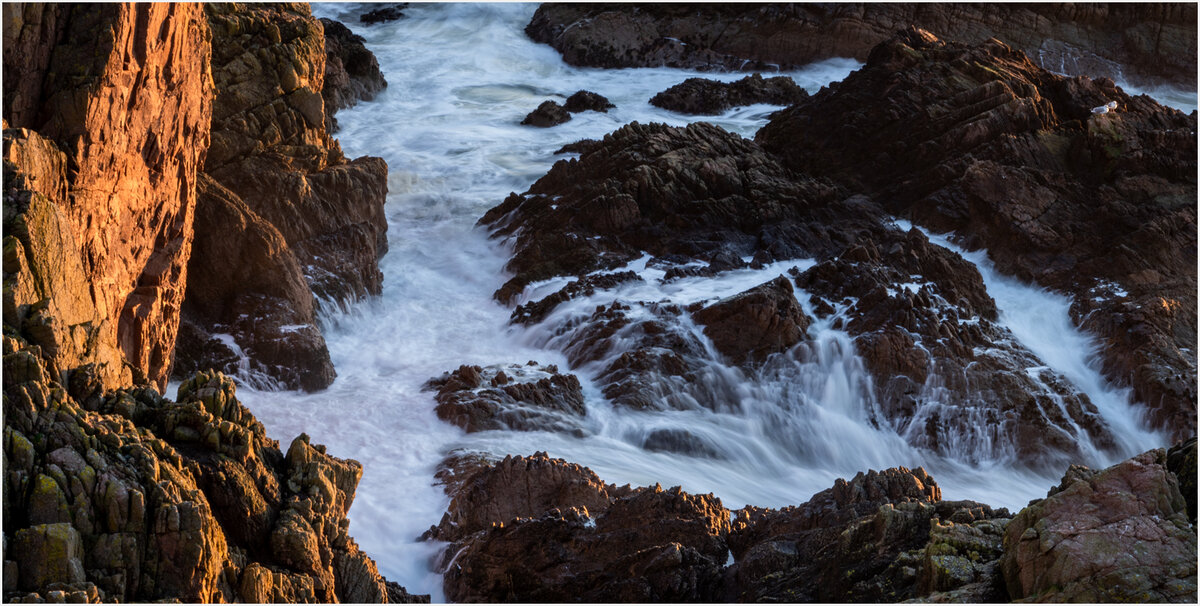 _DSC6966-1 copy.jpg