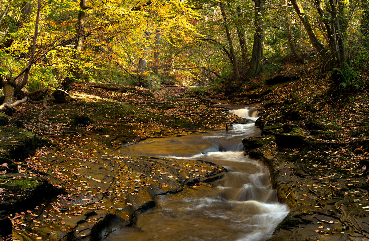 _DSC7072-1 7073 merge from laptop copy.jpg