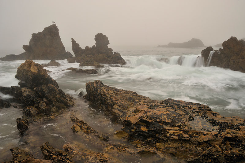 _DSC7153_dw.jpg