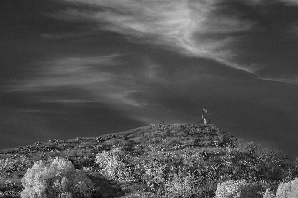 _DSC7161x_IR_AmyProfile+CustomWB_BW_dw.jpg