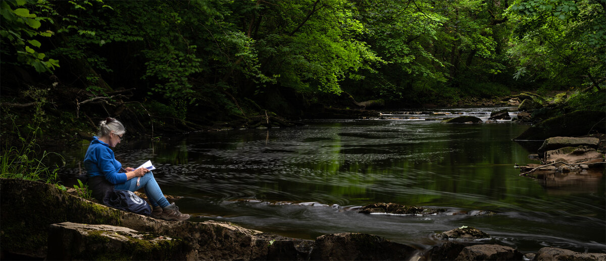 _DSC7240-1 copy.jpg
