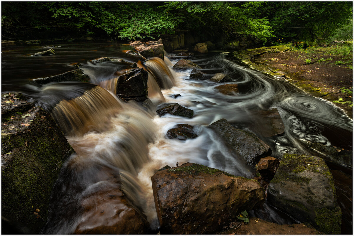 _DSC7295-1 7297 merge.jpg