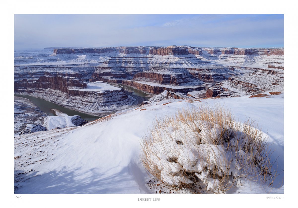 _DSC7365-X2.jpg