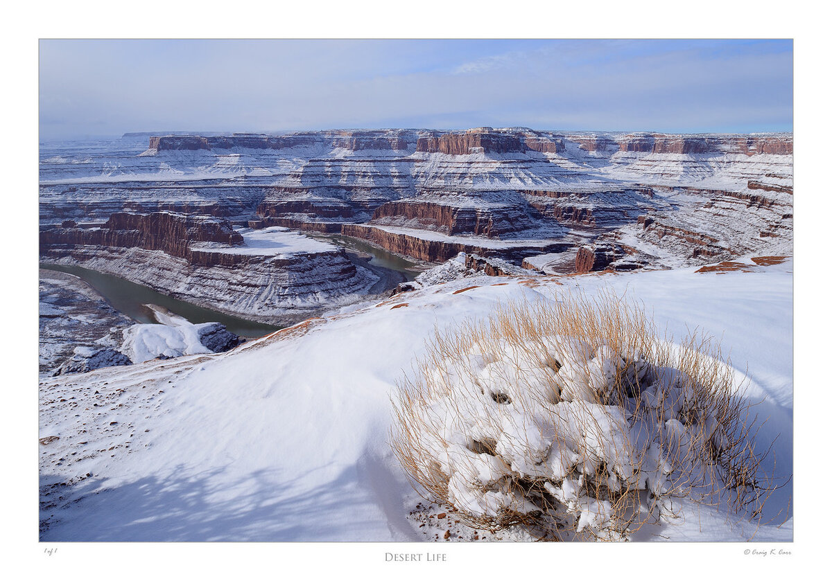 _DSC7365-X2.jpg