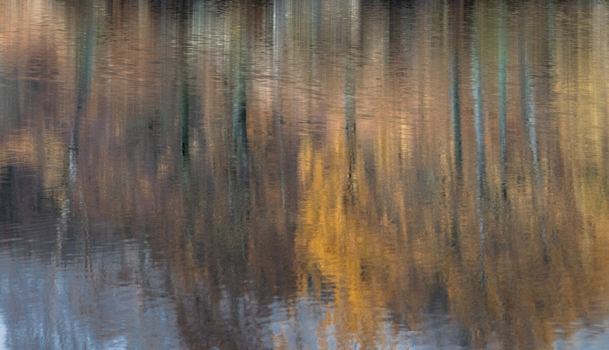 _DSC7425-1 from laptop copy.jpg