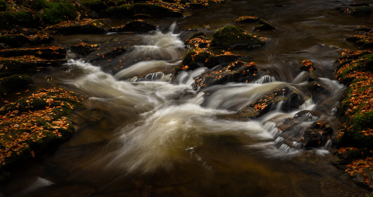 _DSC7625-1 copy.jpg