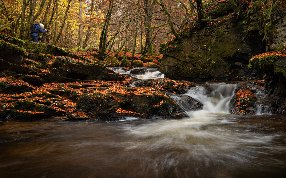 _DSC7661-1 copy.jpg
