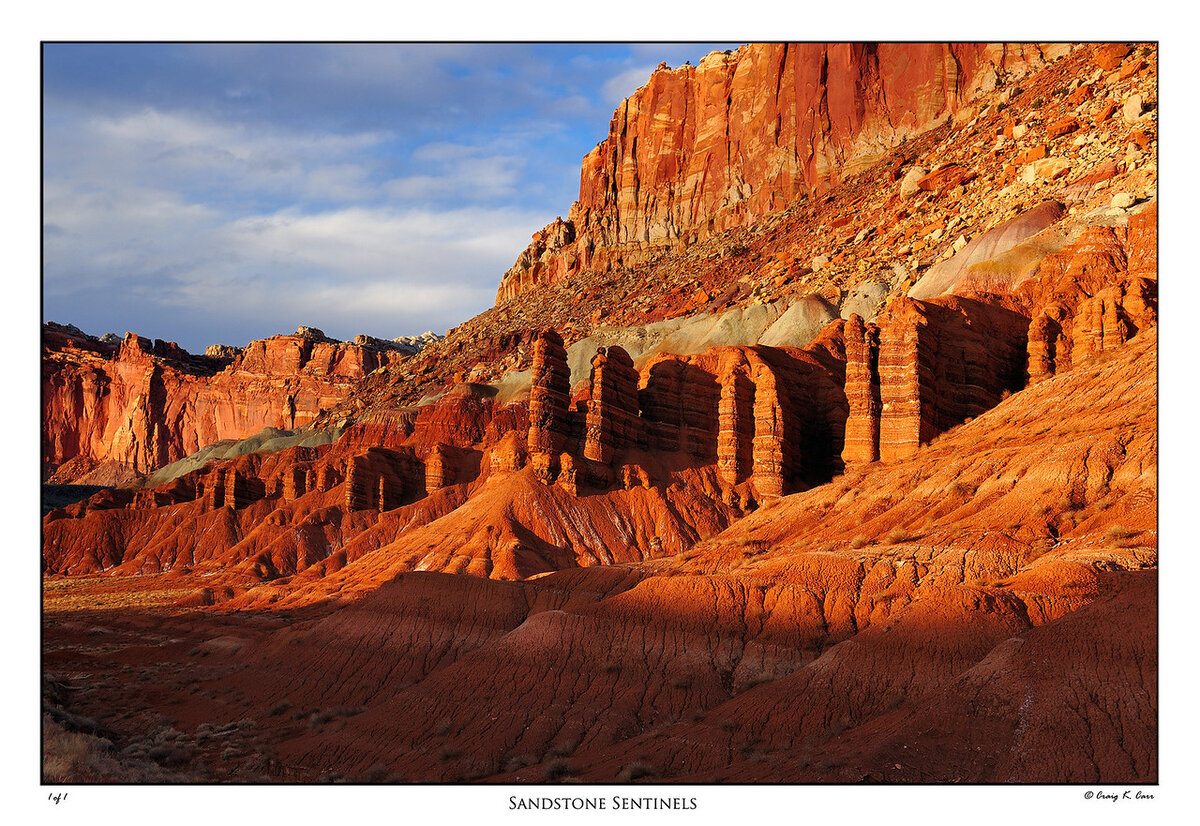 _DSC7664-X2.jpg