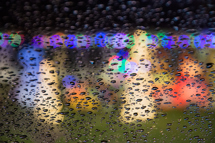_DSC7845_dw.jpg