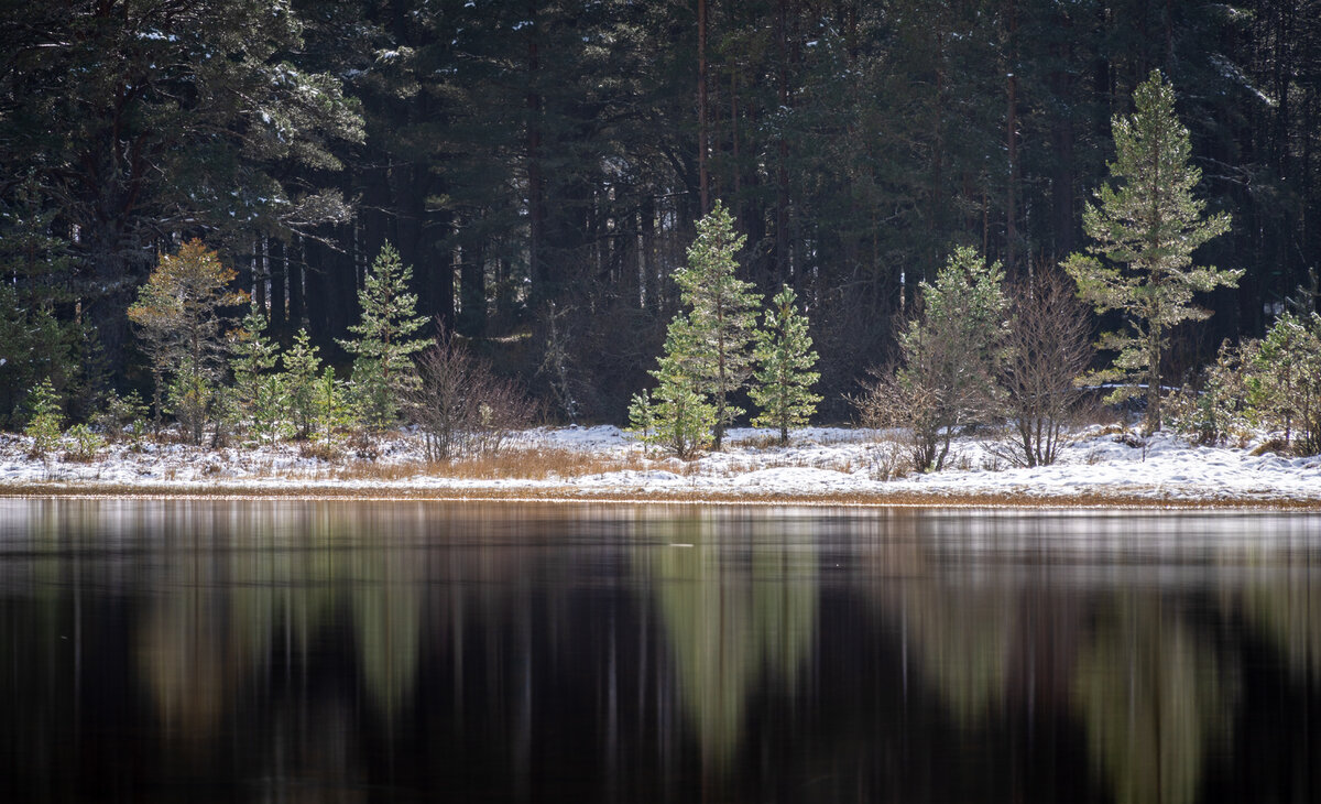 _DSC7930-1 copy.jpg
