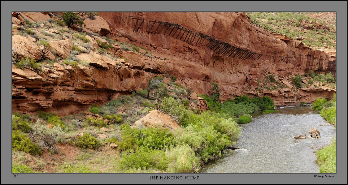 _DSC7990-X2.jpg