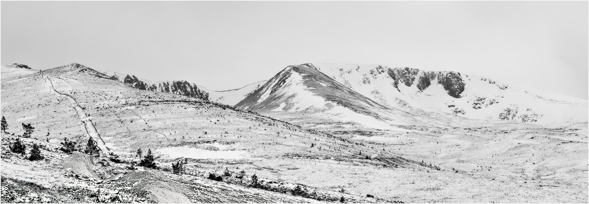 _DSC8018-1 copy.jpg
