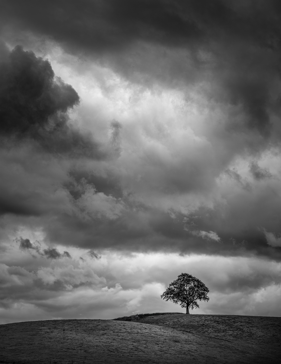 _DSC8023-3 copy (1).jpg