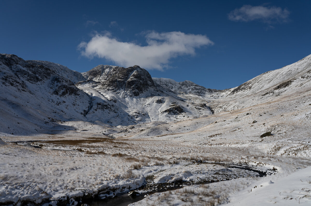 _DSC8230 copy.jpg