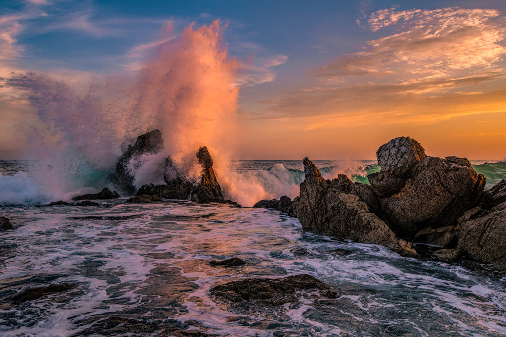 _DSC8279_dw.jpg