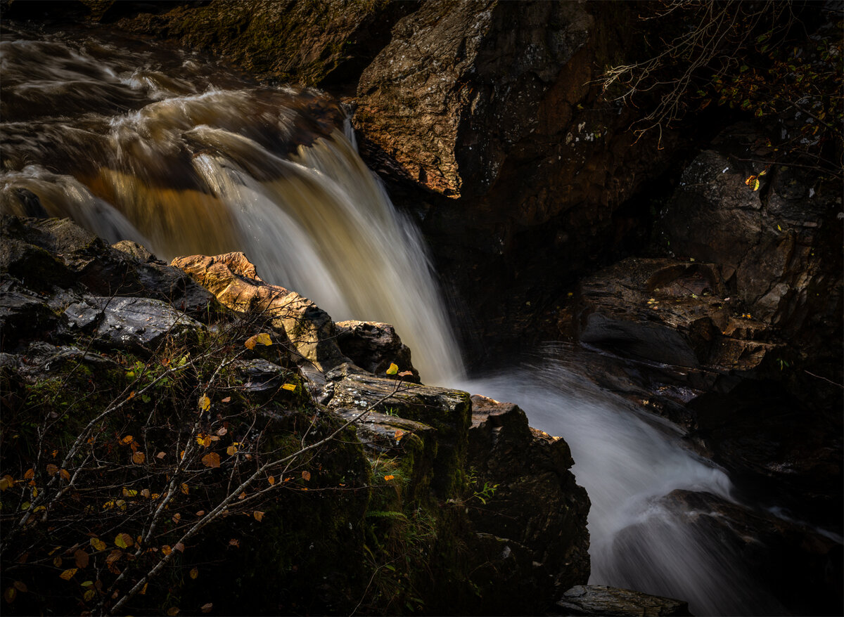 _DSC8403-1 copy.jpg