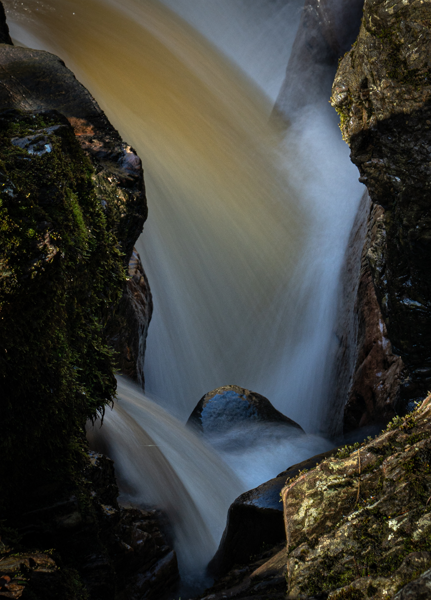 _DSC8427-1.jpg