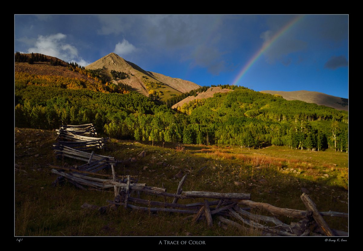 _DSC8570_2-X2.jpg
