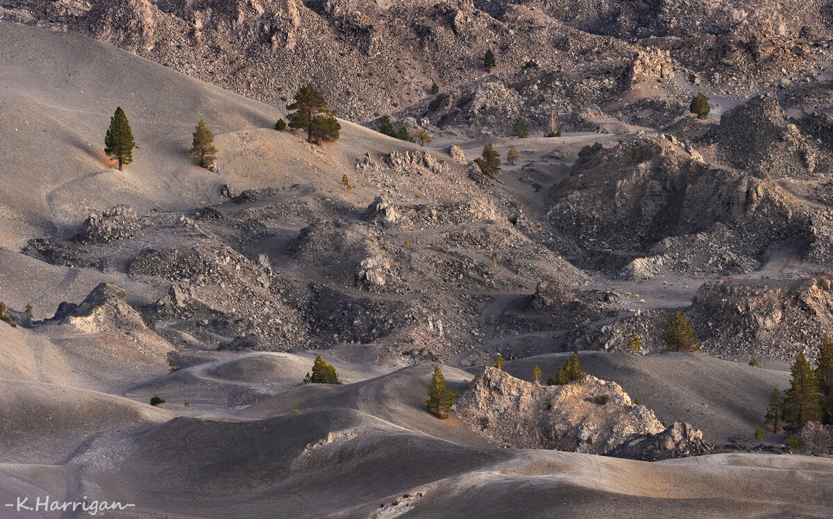 _DSC8632-sharpened copy 2.jpg