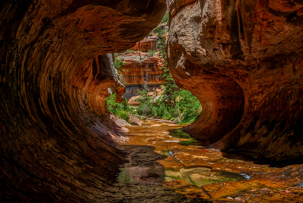 _DSC8670_dw.jpg